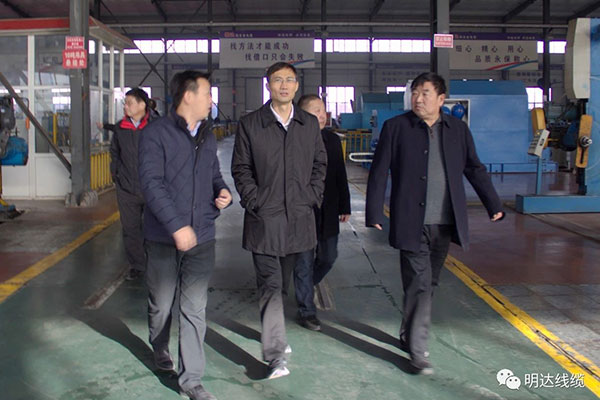 省市场监管局局长金洪钧调研立博
