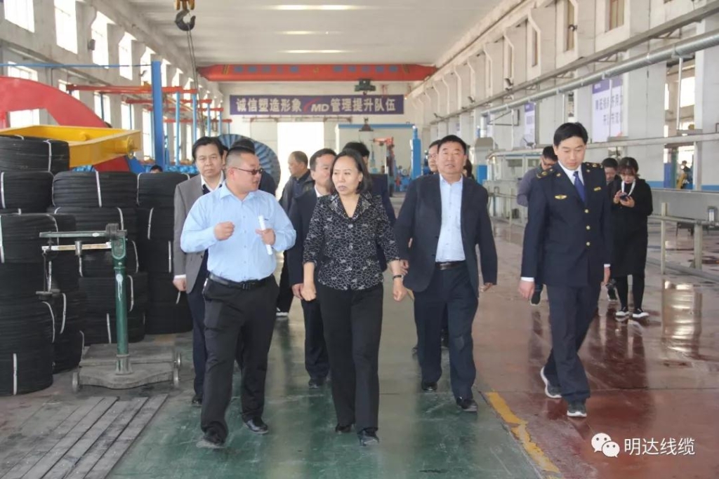 河北省市场监管局党组书记丁锦霞莅临立博考察调研
