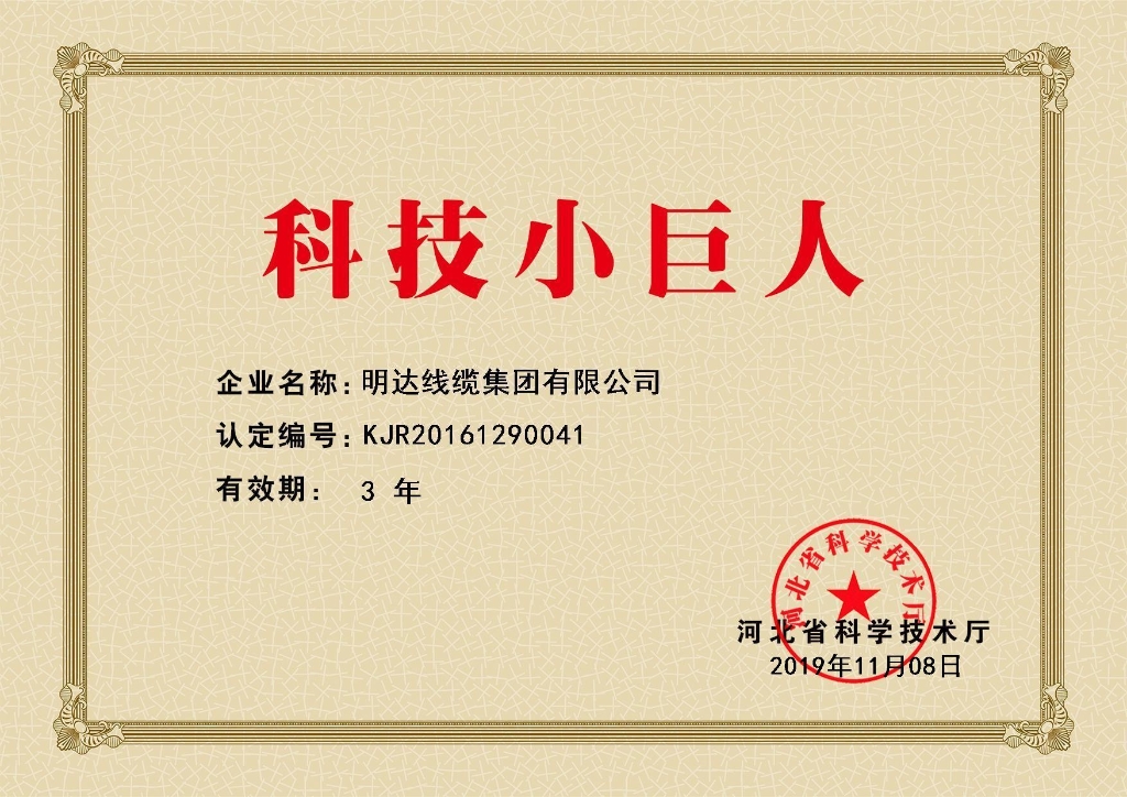 立博线缆被认定为河北省科技小巨人企业