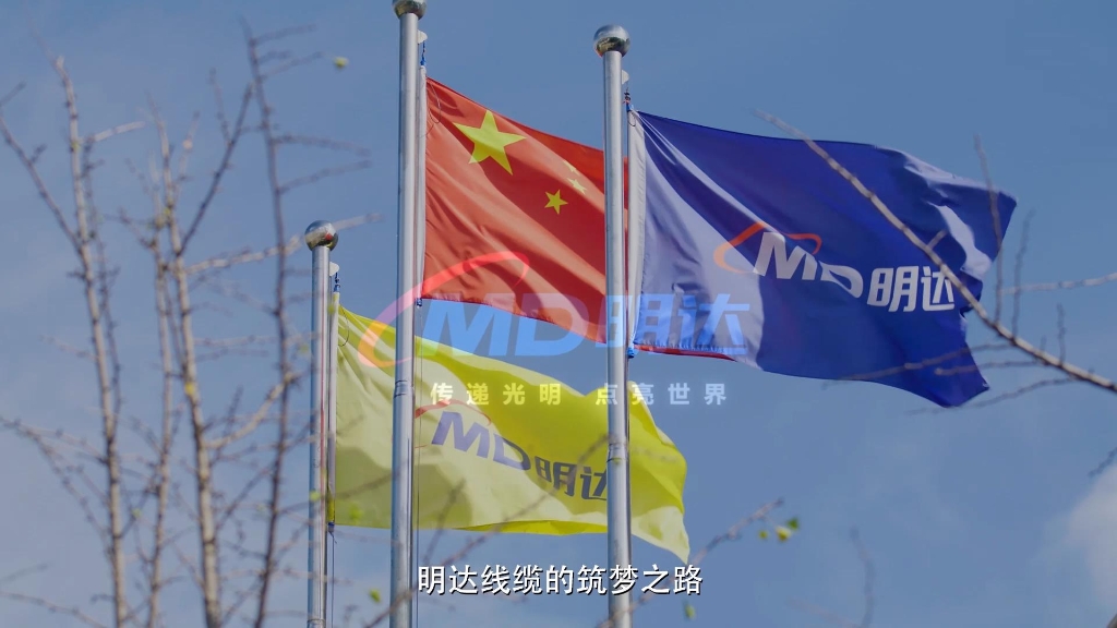 立博宣传片-河北电视台2020年录制